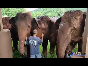 Elephant Bath time, Breakfast, and Stroll with Globe Aware- Thailand