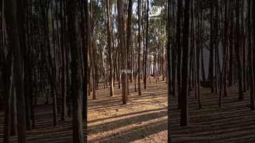 Won't You Open Up The Door! Globe Aware Peru