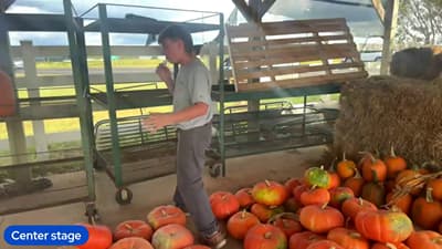 Pop in @ Randall Walker Farms