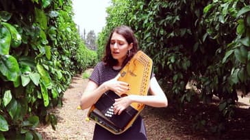 I Worry - theAngelcy (Autoharp cover)