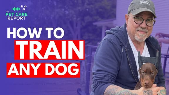 How to Train ANY Dog (Even Fearful, Deaf, or Traumatized Dogs)