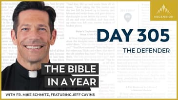 Day 305: The Defender — The Bible in a Year (with Fr. Mike Schmitz)