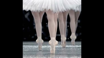 Daily 15: La Danse: The Paris Opera Ballet