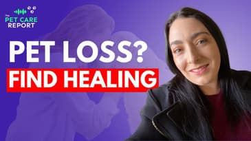 Healing After Pet Loss: Navigating Grief & Recovery