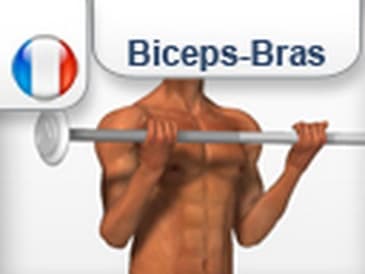 Flexion des avant-bras a la barre - Les Bras & Biceps