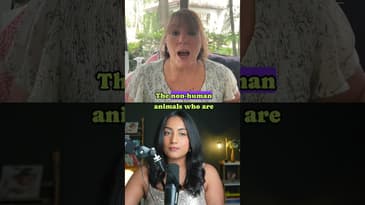 What PETS Really THINKS: ANIMAL COMMUNICATOR Reveals Emma’s SECRETS & Mind-Blowing Insights!