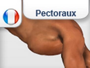 Hindu pompes - comment faire pectoraux musclés