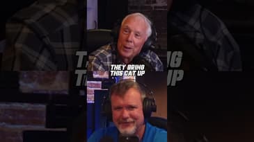 Cat's Night Adventure: From Rats to a Fatal Mistake