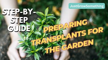 How to Prepare Transplants for the Garden - Ep. 243
