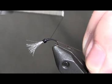 Gilled midge