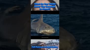What Do You Think Jaws The Revenge Is About?