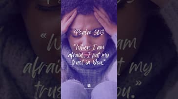 #Bible Verse - Psalm 56:3 #motivation #inspiration #faith
