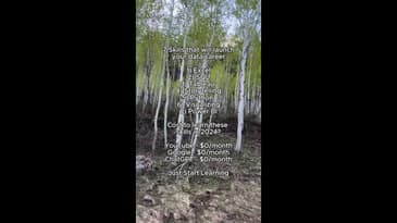 You can become a data analyst. No excuses.