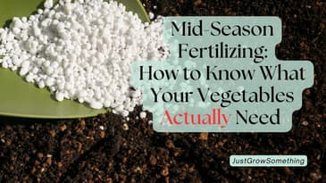 Mid-Season Fertilizing: How to Know What Your Vegetable Plants Actually Need - Ep. 306