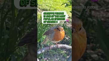 Unveiling listener’s favourite episode 💚 #artmovements