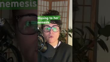 Cat finds another way to interrupt recording #podcastlife