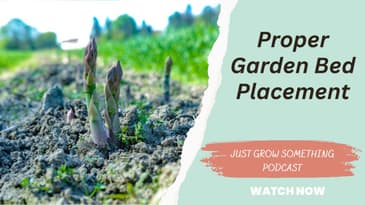 Garden bed placement considerations. April 2022.