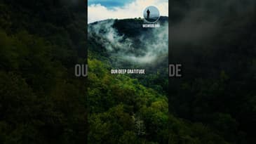 Discover The Power Of Gratitude #Gratitude #FaithJourney #livewithpurpose