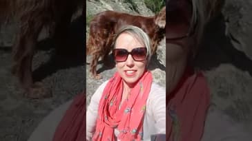 Gratis Webinar / Q&A over sales