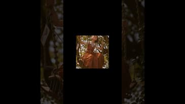 Ani and Living Soul 3/7