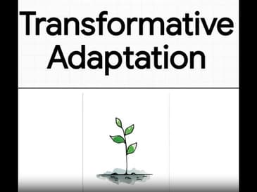 Transformative Adaptation: Another World is Still Possible