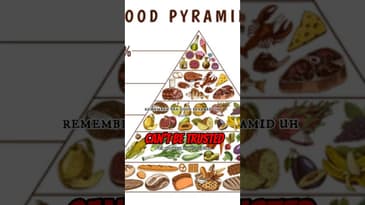 The establishment can’t be trusted