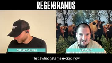 95% of Family Dairy Farms Are Gone — Here’s the Fix