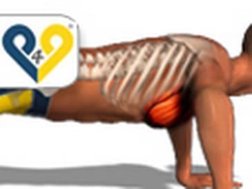 Piegamenti sulle braccia