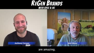 How Cows Can Be The Heroes Of Regenerative Agriculture And Shift The Narrative