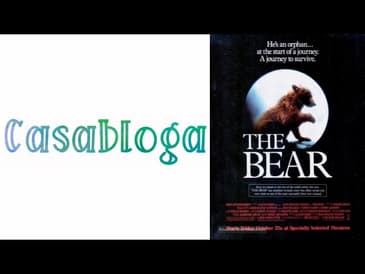 14) The Bear