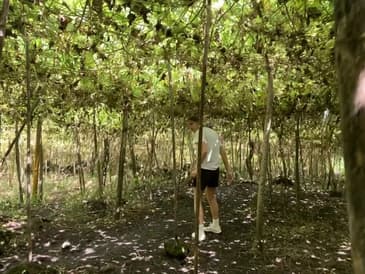 August 2021 in Costa Rica - Globe Aware Volunteer Vacation [ Part 6 ]