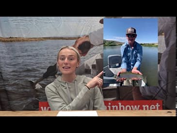 FISHING REPORT 08/12/2020