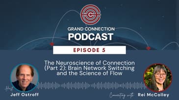The Neuroscience of Connection (Part 2): Brain Network Switching and the Science of Flow | 005