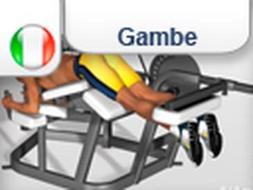 Esercizi Femorali / Gambe