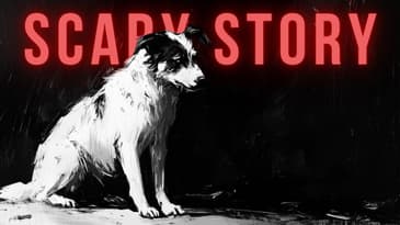 If Dogs Could Talk • Scary Story Podcast