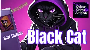 FBI Take Down of BLACK CAT Cyber Gang