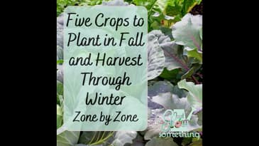 Five Crops to Plant in Fall for Winter Harvest, Zone by Zone - Ep. 163