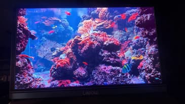 Lepow Z1-Gamut 15.6'' FHD Display (2020)