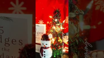 A Holiday book to curl up with