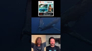 latest episode with Eric Wittkopf filmmaker of HOMECOMING by North foils