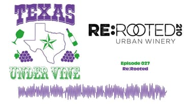 Episode 027 - HC - Re:Rooted