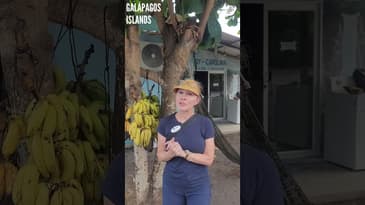 An Unusual Tradition! Galápagos Islands with Globe Aware