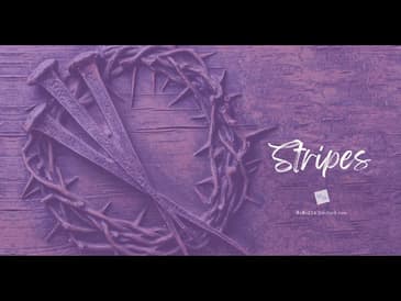 Stripes