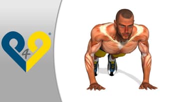 How to push-ups, BEST push-ups Exercise, handstand push-ups, doing push ups - Hands as chest width