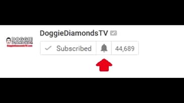 Reminder: Get Your Doggie Diamonds TV New Video Upload Notifications