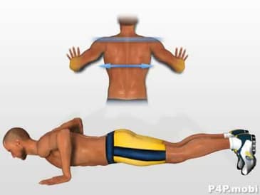 Muscles - Pectoraux Exercice Pompes Explosive