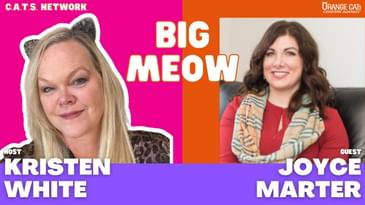 264: The Financial Mindset Fix with Joyce Marter