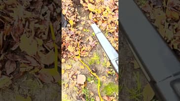 WORX 40V Blower/Mulcher/Vac Blowing leaves