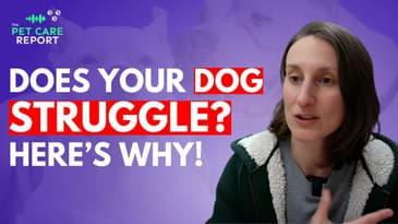 Why Your Dog Won't Listen: Uncover the Secrets to Better Behavior!