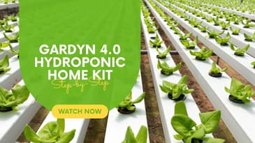 "Growing Success: Essential Tips for Your Gardyn 4.0 Sprouts!"